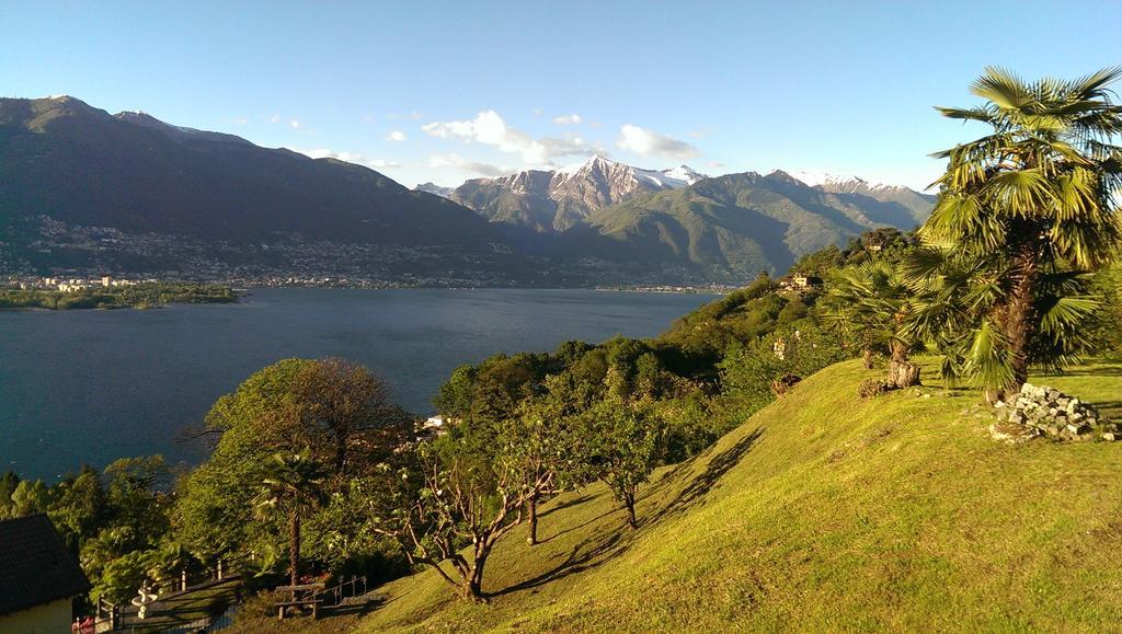 Corte Delle Camelie Gambarogno ภายนอก รูปภาพ
